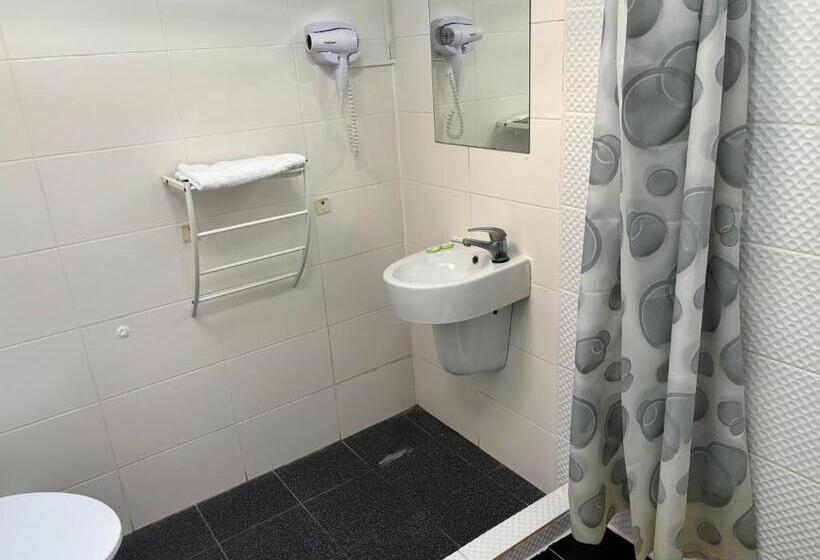 اتاق استاندارد, Piata Uniri Cozy Inn