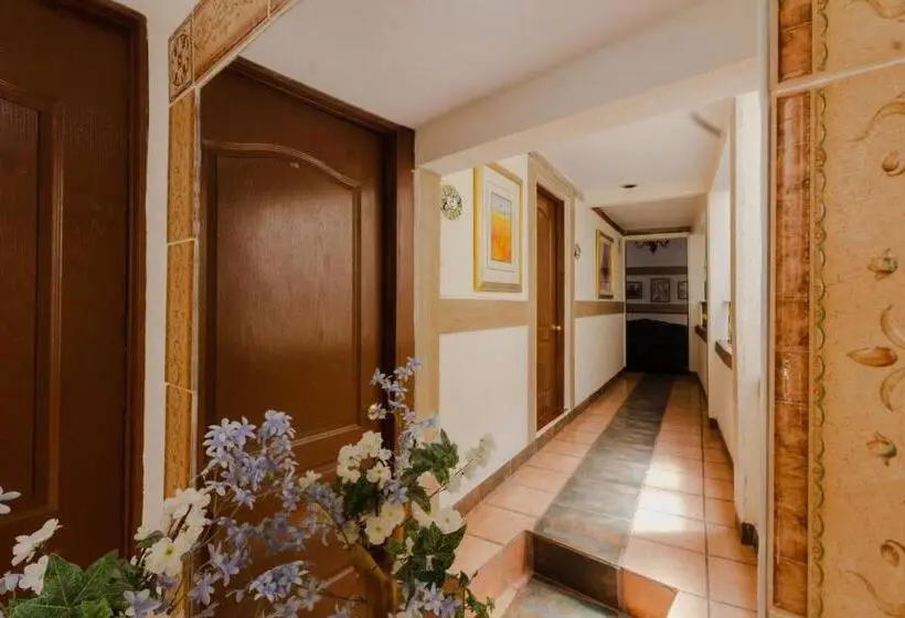 اتاق سوپریور با تخت بزرگ, Casa 12 Reales Guanajuato