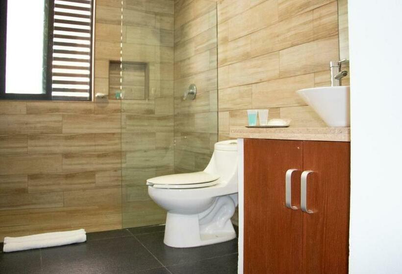 スイート, Sole Suites