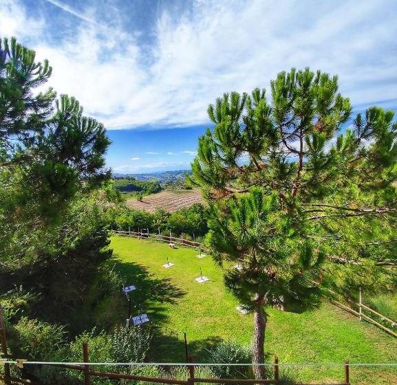 חדר סטנדרט, La Tomatica In Commedia