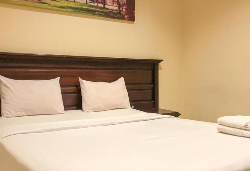 Номер Стандарт, D Mario Palopo