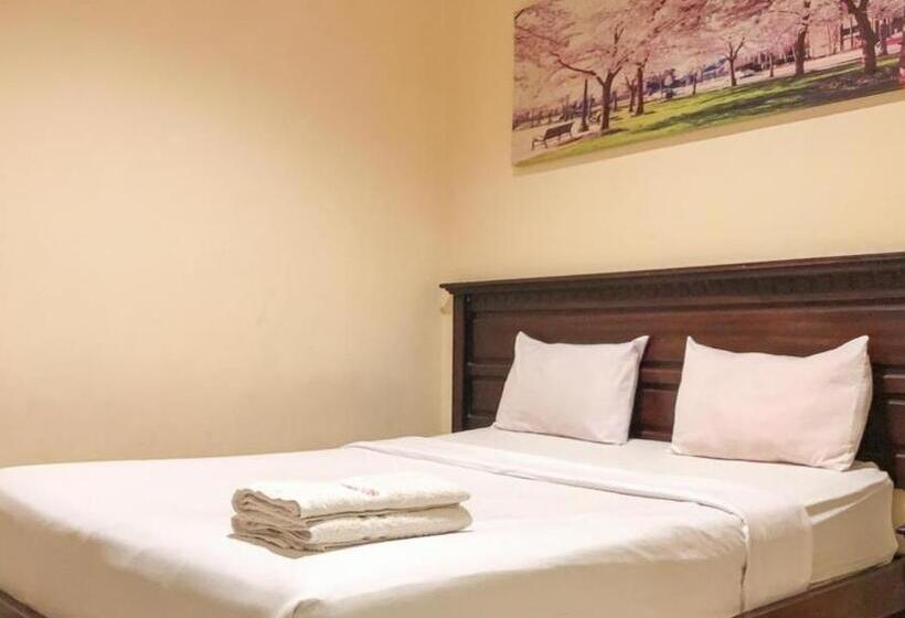 Номер Стандарт, D Mario Palopo