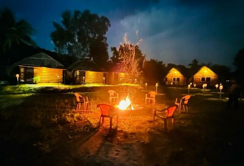 اتاق استاندارد با تخت بزرگ, Banana Tree Home Stay