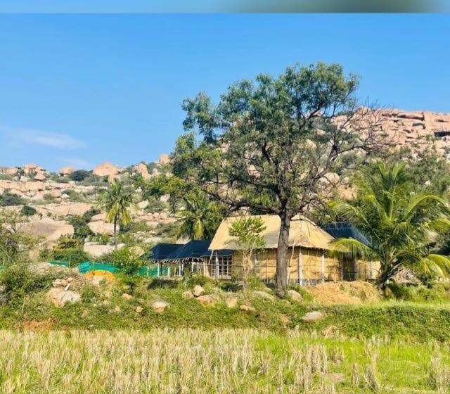 اتاق استاندارد با تخت بزرگ, Banana Tree Home Stay