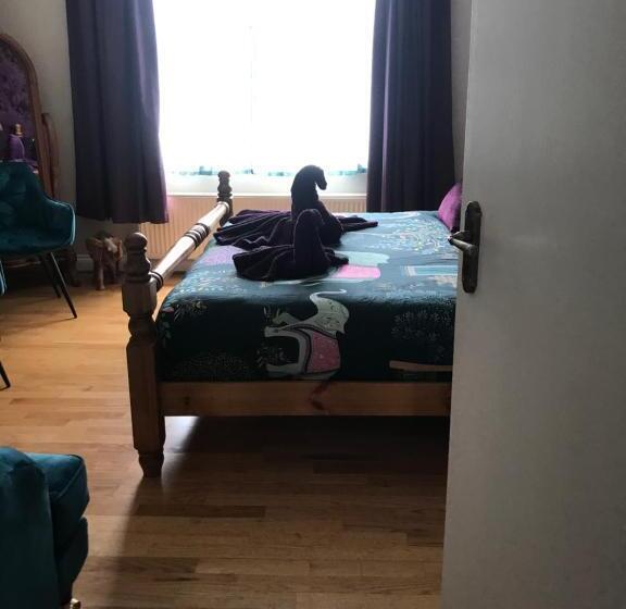 חדר סופריור עם מיטת קינג, Stunning Super King, Close To Beach, Shared Bathroom