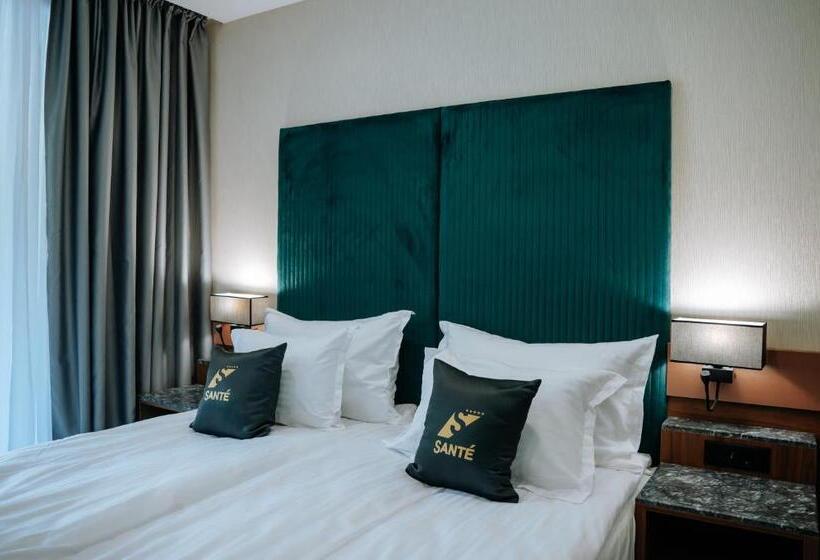 １ベッドルームのスーペリアアパートメント, Santé Spa