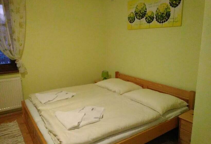 Номер Стандарт, Pod Palmou Gerlachov