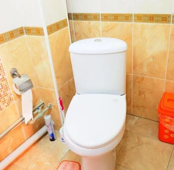 اتاق استاندارد, Baktygul Guesthouse