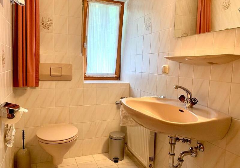 Номер Стандарт с Балконом, Haus Jagerer
