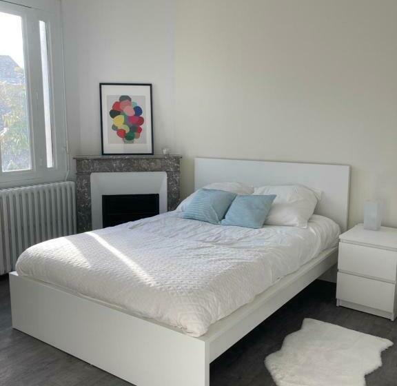 标准间, Coliving Salle De Sport Vidéprojection Proxi Gare