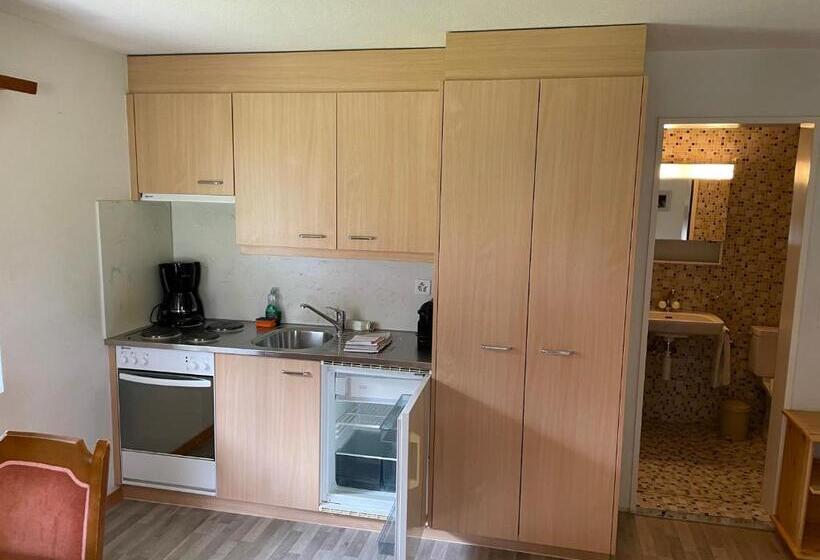 Студио Стандарт с Видом, Restaurant Gommerhof