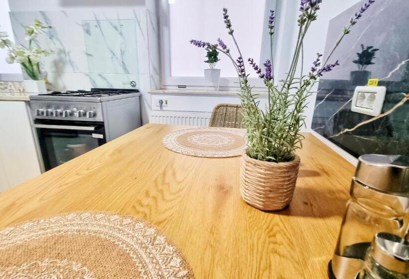 带1个卧室的豪华公寓, Kyd House