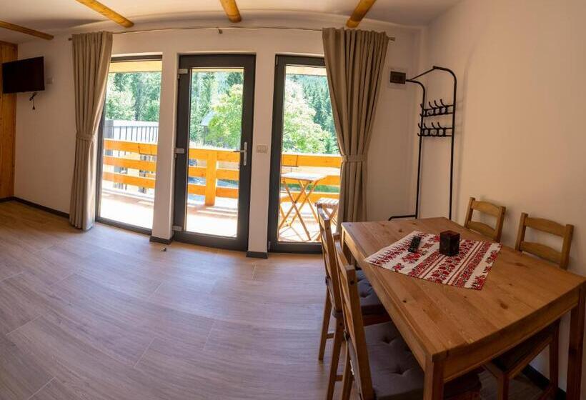 استودیوی استاندارد, Casa Izvorul Negru Moisei