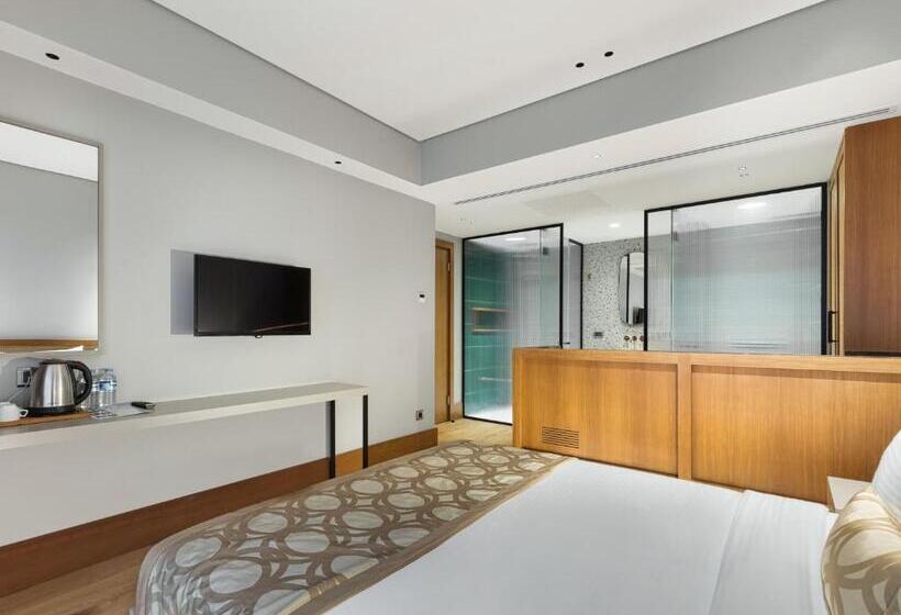 اتاق لوکس با بالکن, Galata Rasso