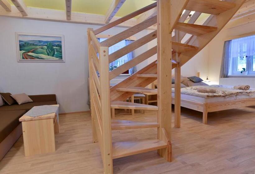 اتاق استاندارد یک نفره, Pension Na Vyhlídce