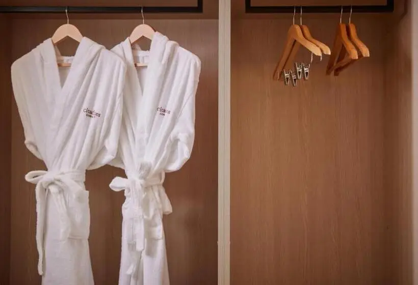 اتاق لوکس با چشم‌انداز دریا, Citadines Connect Hari Busan