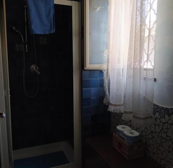 スタンダードルーム, Dog House From Pompei Amalfi