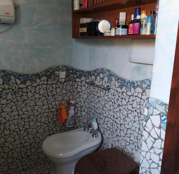 スタンダードルーム, Dog House From Pompei Amalfi