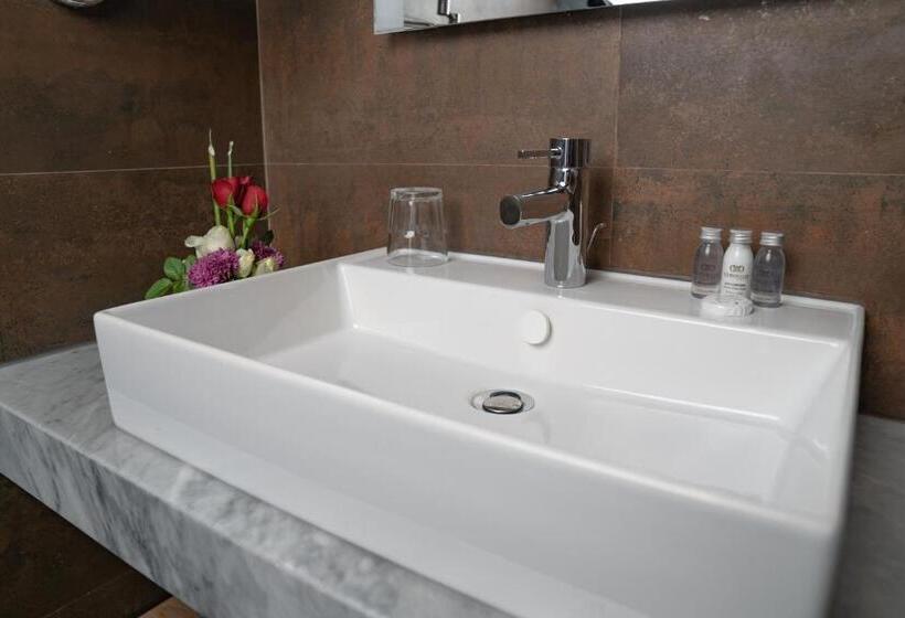 싱글 디럭스 룸, Dominium