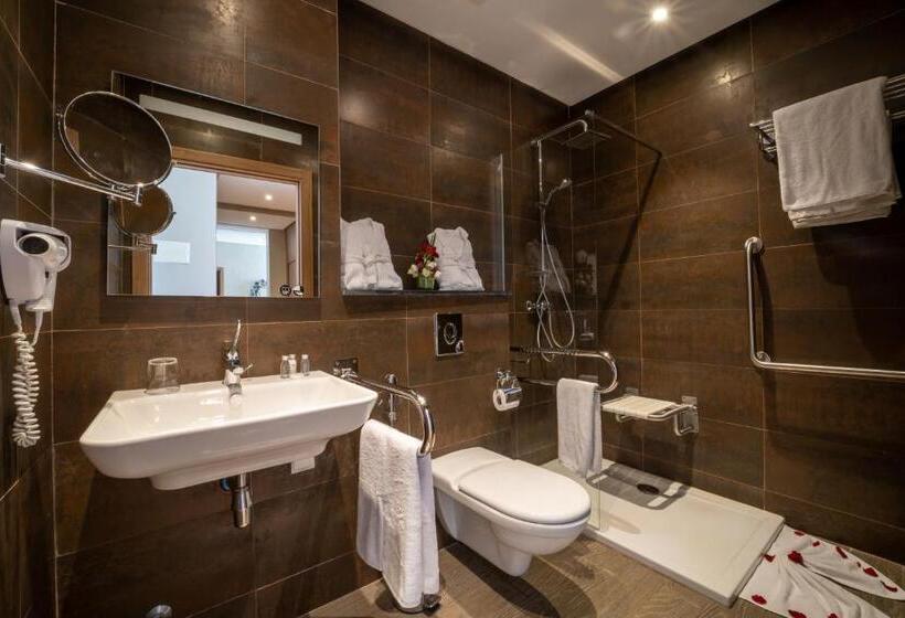 スーペリアシングルルーム, Dominium