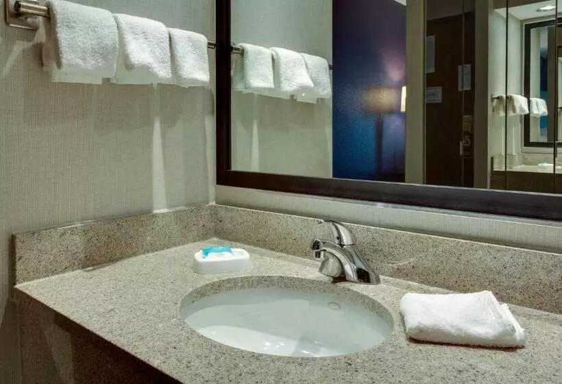 キングサイズベッドのデラックスルーム, Drury Inn & Suites Hayti Caruthersville
