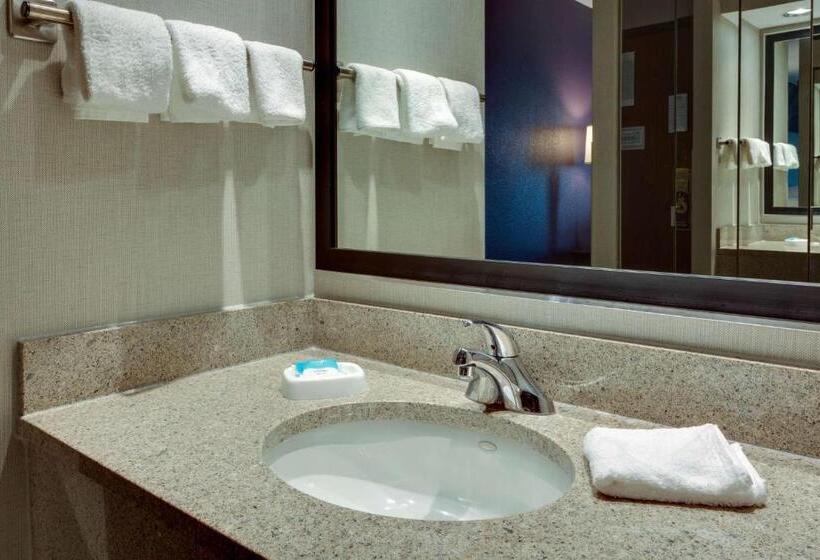 חדר סופריור מותאם לאדם עם מוגבלויות, Drury Inn & Suites Hayti Caruthersville