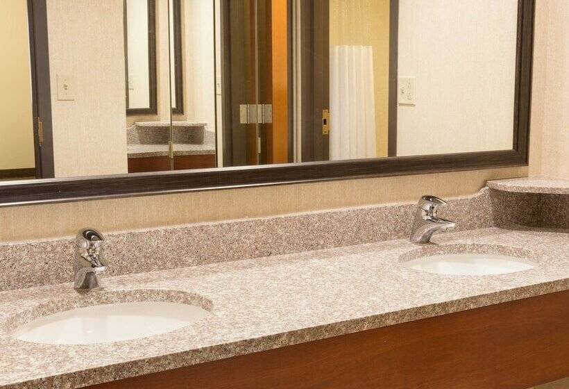 חדר דלוקס, Drury Inn & Suites St Louis Southwest