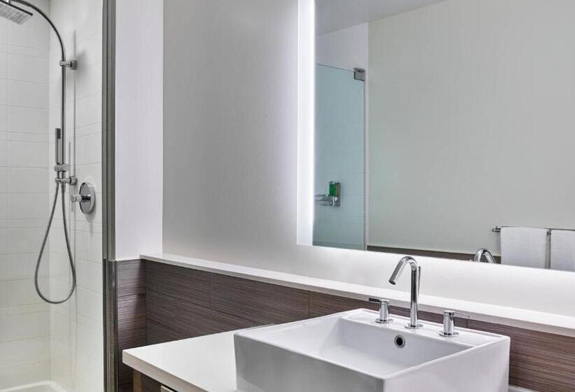 Suite King Size Seng, Element Denver Park Meadows