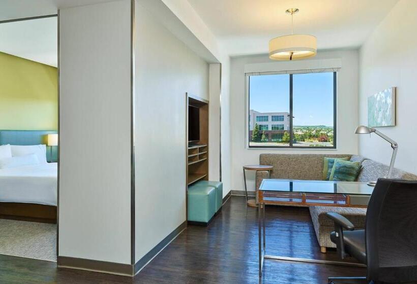 Suite, Element Denver Park Meadows