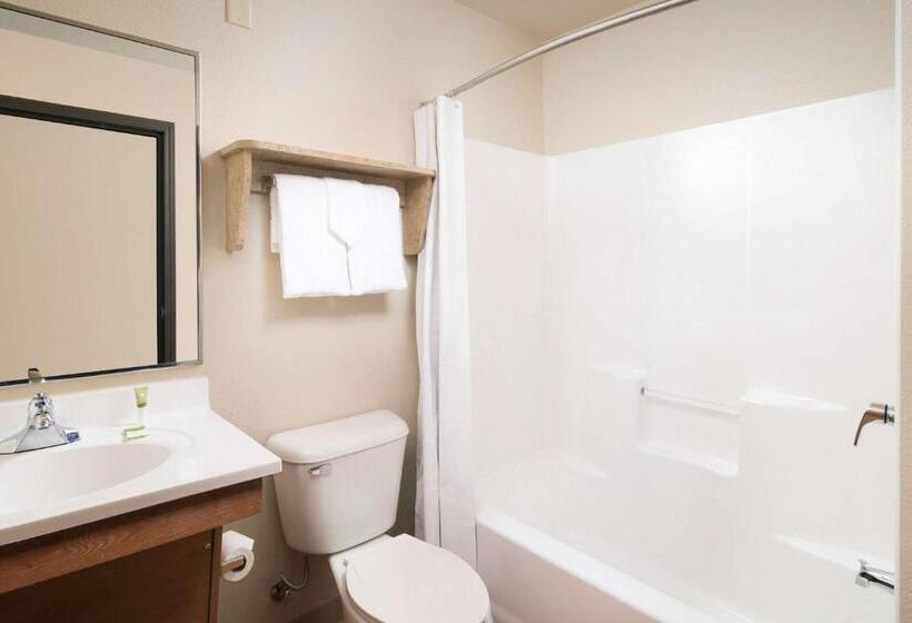带2个双人床的标准工作室, Woodspring Suites Killeen