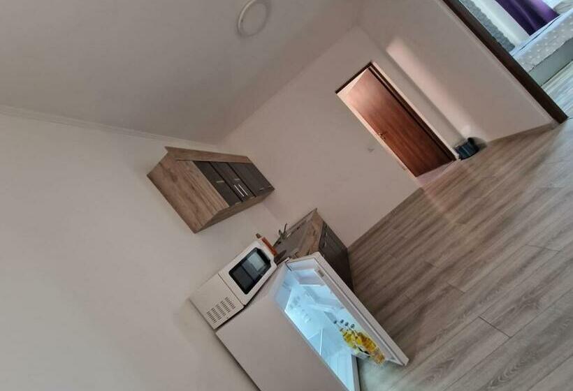 شقة غرفة واحدة, Cristian