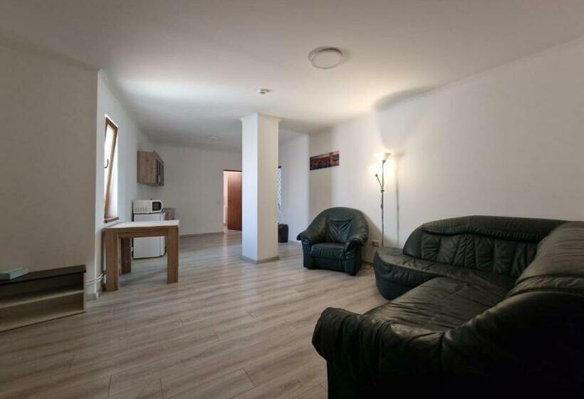 شقة غرفة واحدة, Cristian