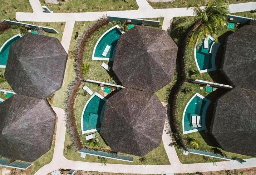 标准平房, Tuju Boutique