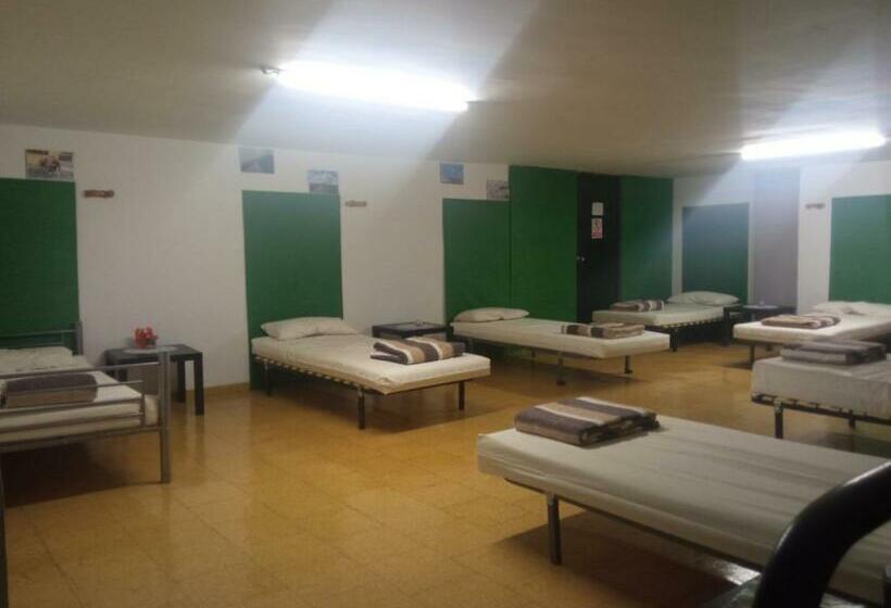 ルームシェアのワンベッド, El Peregrino Najerino