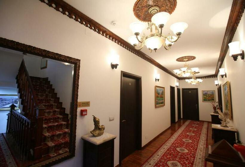 标准间, Antipatrea