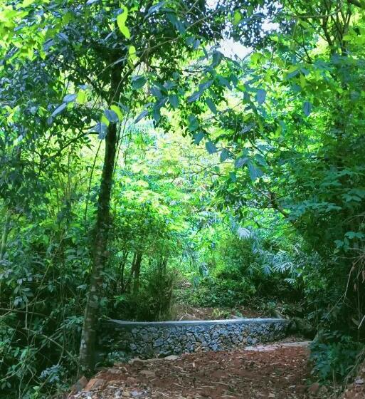 חדר משפחתי נוף להרים, Forest And River Edge Resort