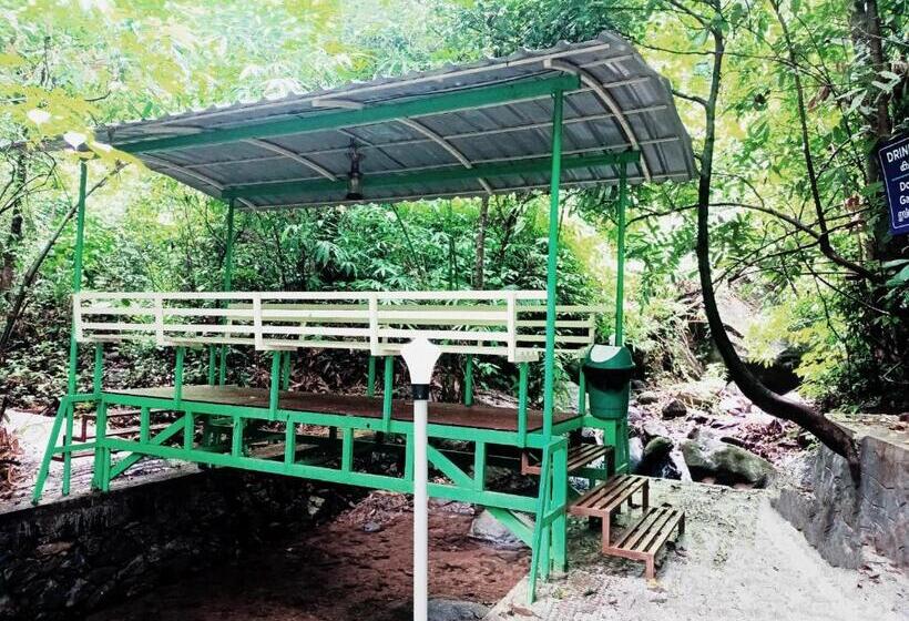 패밀리 룸 산 전망, Forest And River Edge Resort