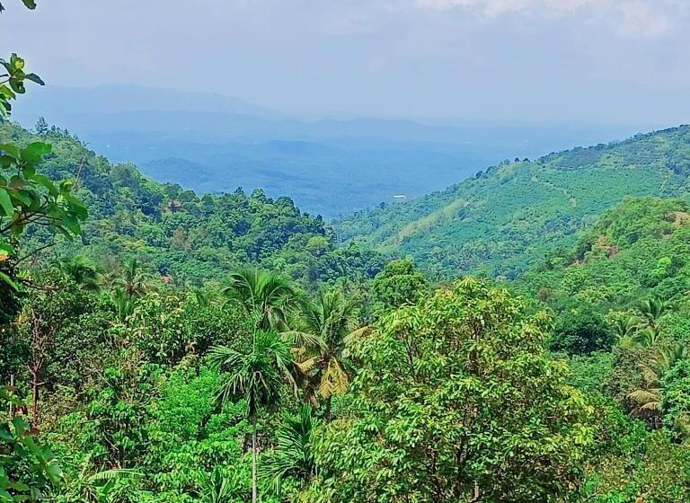 חדר משפחתי נוף להרים, Forest And River Edge Resort