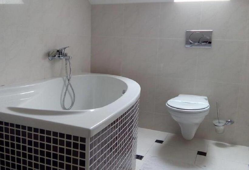 Single Deluxe Room, Barbakan