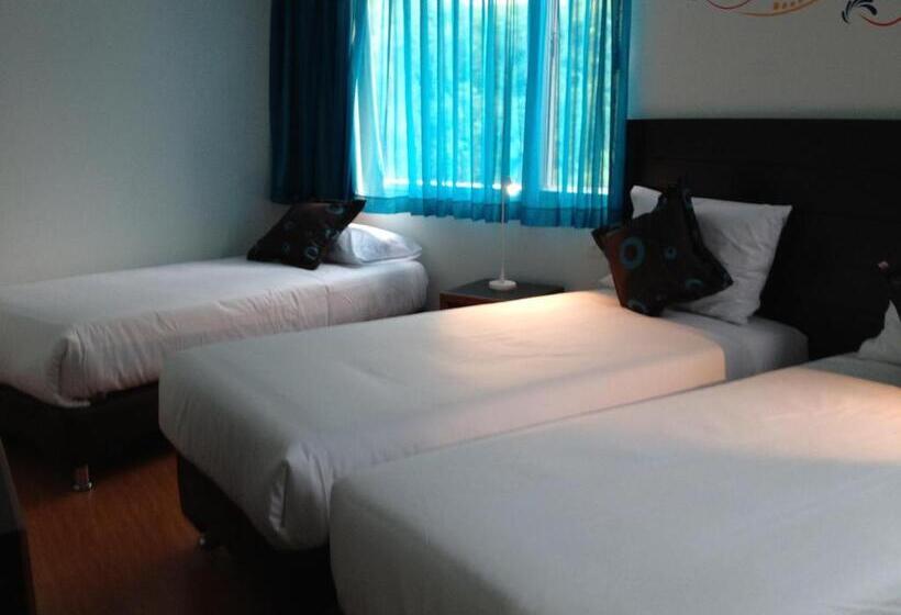 스탠다드 트리플 룸, Benidorm