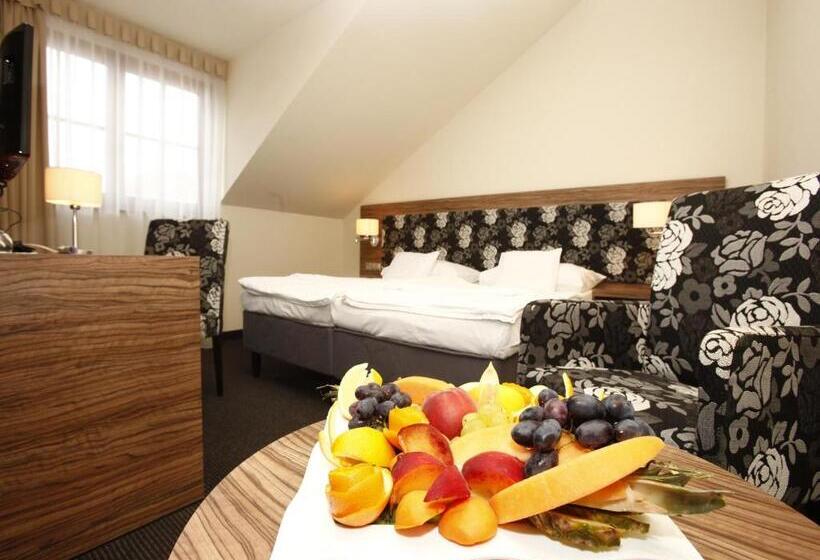 غرفة قياسية, Bodrogi Kúria Wellness