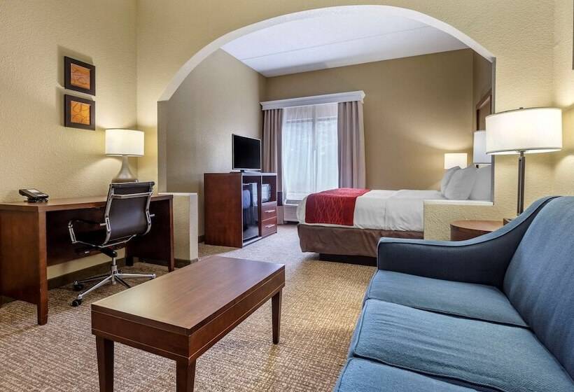 جناح, Comfort Inn & Suites Mocksville I 40
