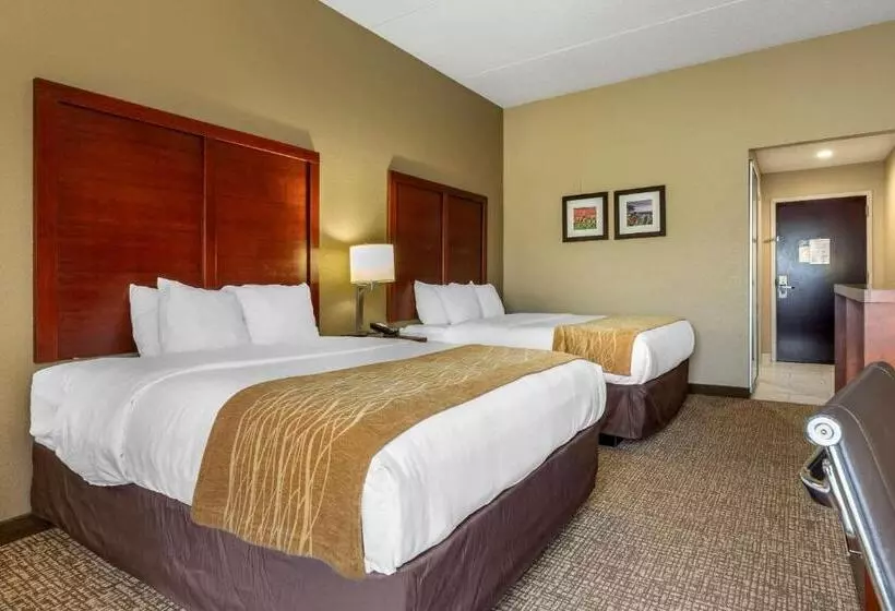 スタンダードルーム, Comfort Inn & Suites Mocksville I 40