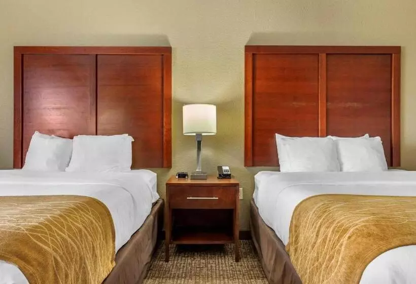 スタンダードルーム, Comfort Inn & Suites Mocksville I 40