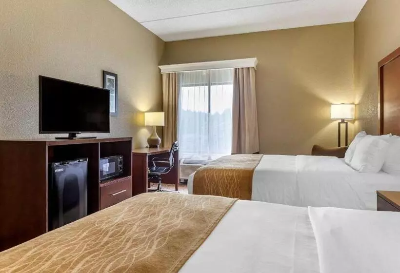 スタンダードルーム, Comfort Inn & Suites Mocksville I 40