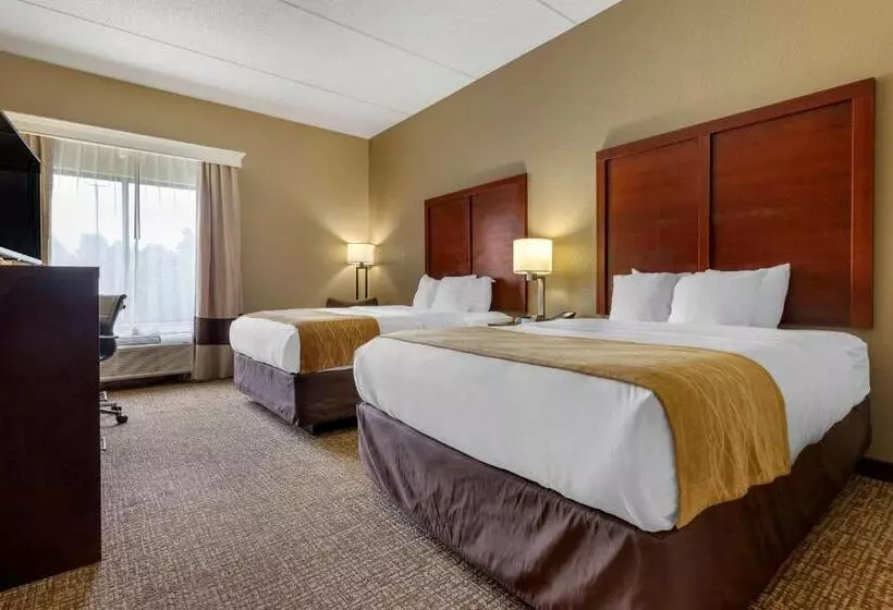 スタンダードルーム, Comfort Inn & Suites Mocksville I 40