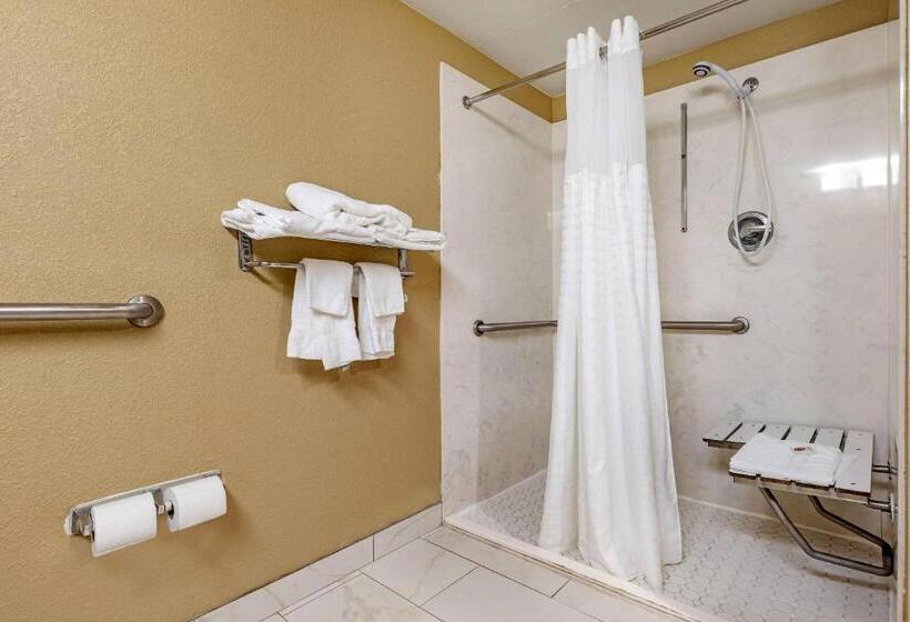 غرفة قياسية سرير كينج, Comfort Inn & Suites Mocksville I 40