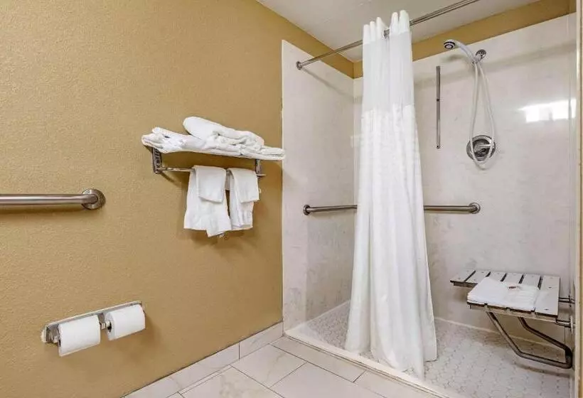 キングサイズベッドのスタンダードルーム, Comfort Inn & Suites Mocksville I 40