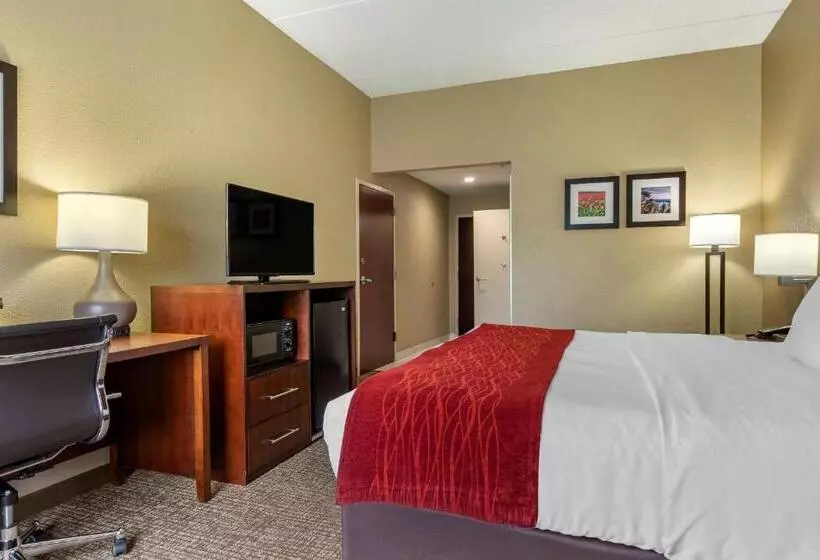 キングサイズベッドのスタンダードルーム, Comfort Inn & Suites Mocksville I 40