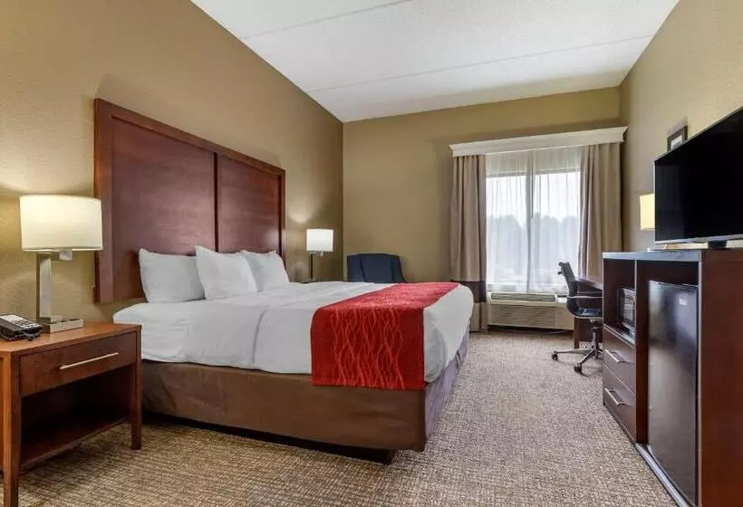 キングサイズベッドのスタンダードルーム, Comfort Inn & Suites Mocksville I 40